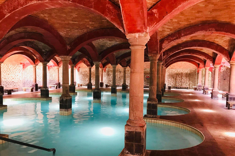 Visite &quot;Termas de San Joaquín&quot;, avec transfert et billetsMonterrey : Retraite de bien-être Termas de San Joaquín