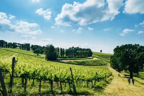 Rome: Assisi, Montefalco wines & Perugia Day Trip with Lunch