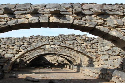 History & Nature: Azraq Wetland Reserve and Desert Castles