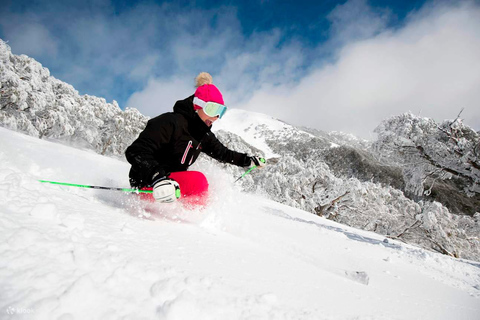From Melbourne: Mt Buller Village Express Coach Transfer Box Hill Pickup