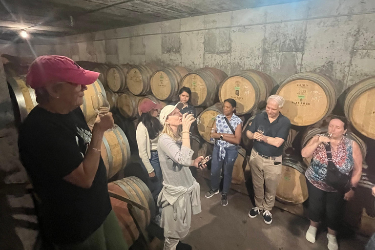 Niagara Benchlands: Ebike Tour with Wine Tastings