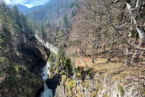 Hohenschwangau: Guided Tour to Neuschwanstein Castle, including tickets Hohenschwangau: Neuschwanstein Castle Tour with Guide and Ticket