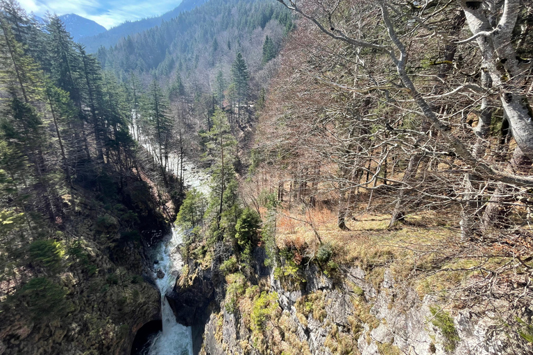 Hohenschwangau: Guided Tour to Neuschwanstein Castle, including tickets Hohenschwangau: Neuschwanstein Castle Tour with Guide and Ticket