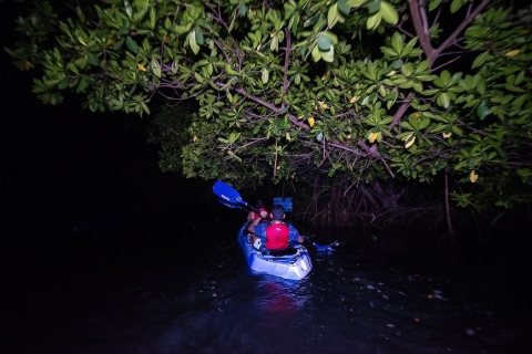 San Juan: Bioluminescencyjna przygoda kajakiem w zatoce nocąSan Juan: Kayak Bio Bay Adventure nocą