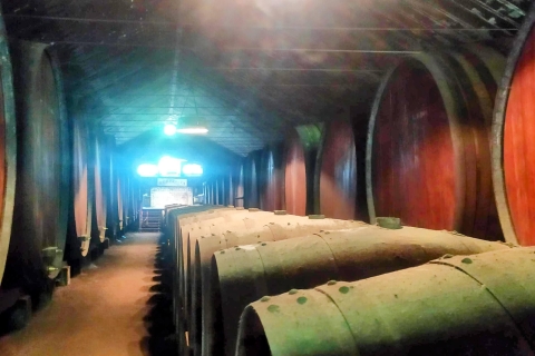Portuguese Wine History & Amazing Surroundings Tour