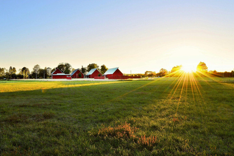 Toronto: St. Jacobs Market and Mennonite Country Tour