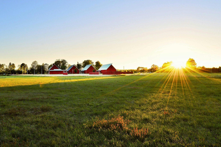 Toronto: St. Jacobs Market and Mennonite Country Tour