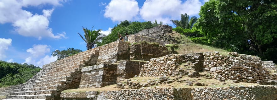 Altun Ha, observation ornithologique, visite citadine
