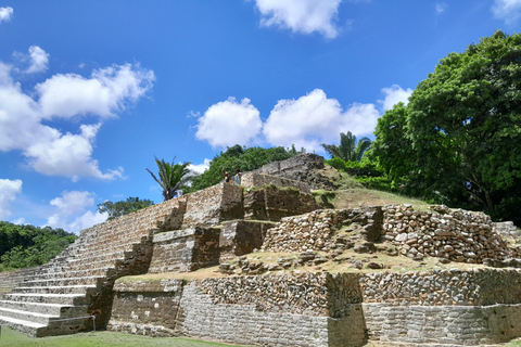 Belize City: Altun Ha Mayan Ruins Tour with Transportation