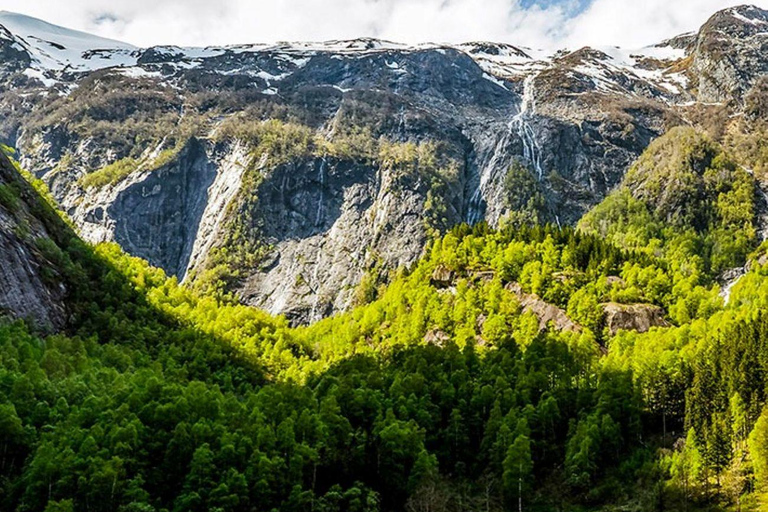 Balestrand: Fjord Sightseeing by Fast Boat