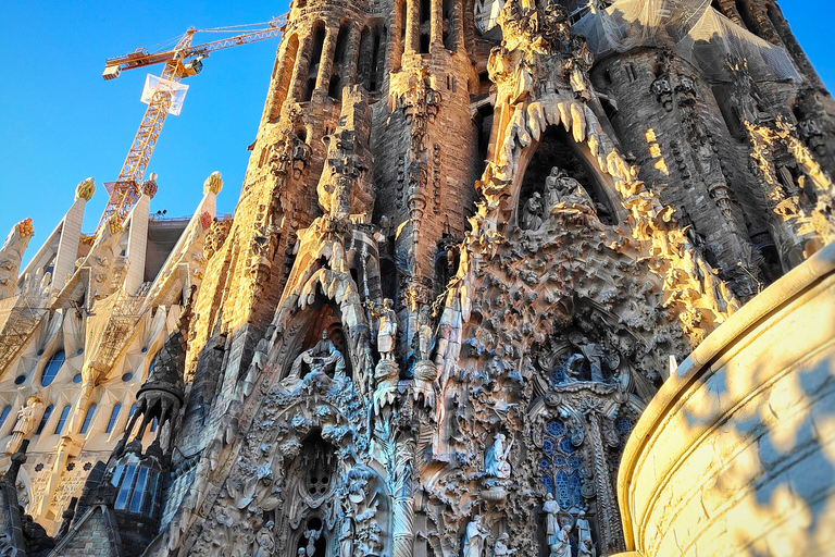 Visite privée de la Sagrada Familia avec billet d'entrée en anglais