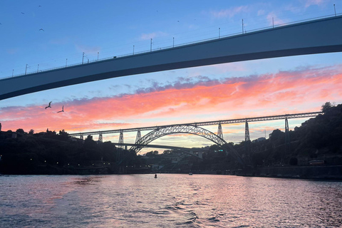 Porto: Private Douro River Yacht w/ Wines & Gourmet Tasting