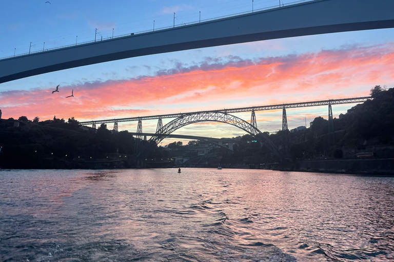 Porto: Private Douro River Yacht w/ Wines & Gourmet Tasting