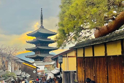 Private Shore Tour:Osaka, Kyoto, Nara, Kobe & Himeji