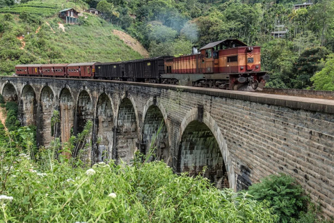 Explore Ella's Charm : Tuk Tuk Transfer to Nine Arch Bridge