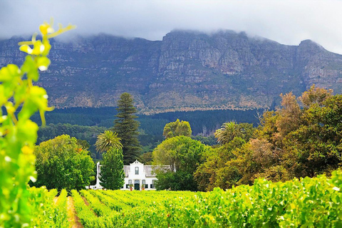 Cape Wineland 3 Award Winning Vineyards