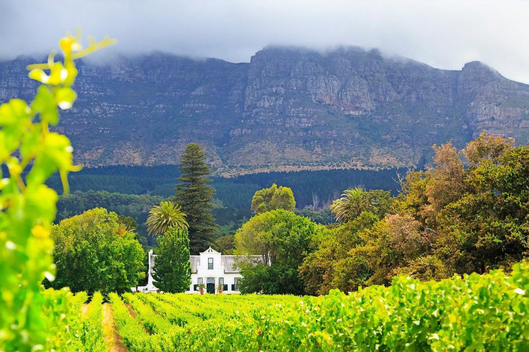 Cape Wineland 3 Award Winning Vineyards