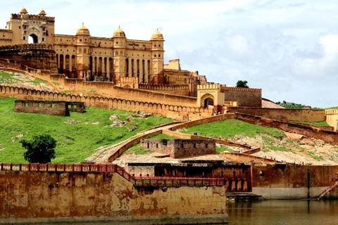 2-Day Jaipur & Sariska Heritage and Wildlife Tour from Delhi Tour without Accommodation