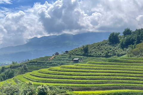 Randonnée dans le village de Red Dao et bain aux herbes