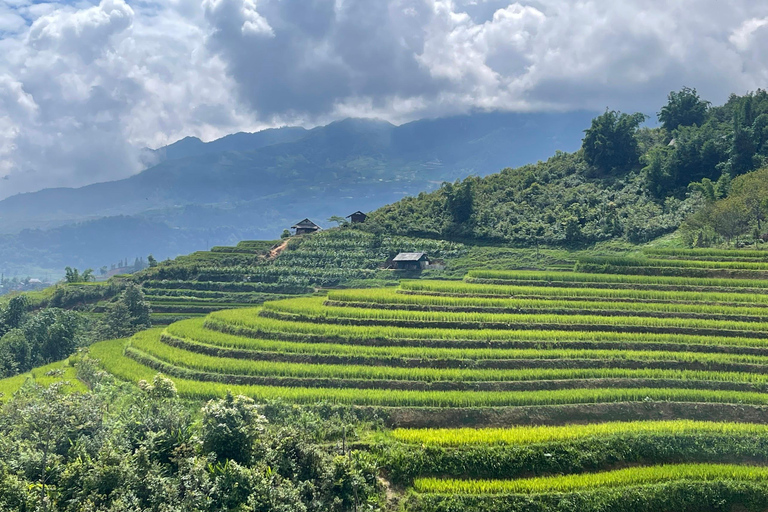 Randonnée dans le village de Red Dao et bain aux herbes