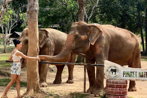 Reserva Natural de Elefantes de Phuket - Santuario ético de elefantesAventura en elefante de 90 minutos
