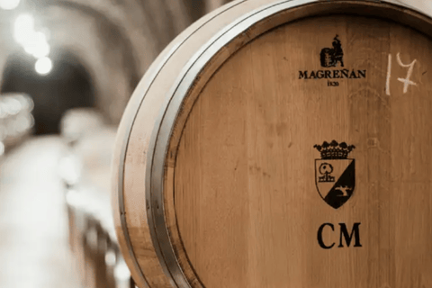 La Rioja: Matarromera Private tour down the hills