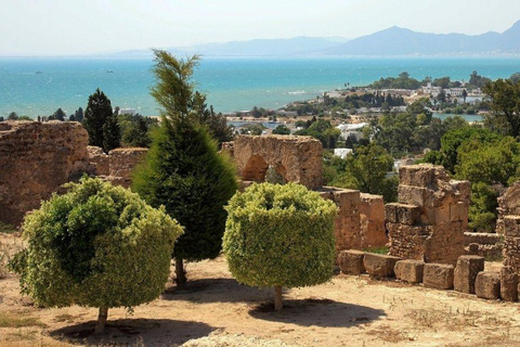 Carthage & Sidi Bou Said Tour from Mahdia From Mahdia: Carthage & Sidi Bou Said Guided Tour