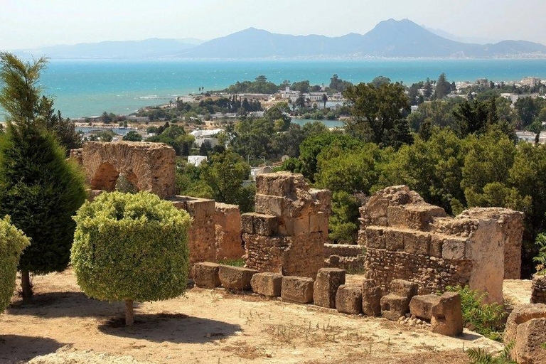Carthage & Sidi Bou Said Tour from Mahdia From Mahdia: Carthage & Sidi Bou Said Guided Tour