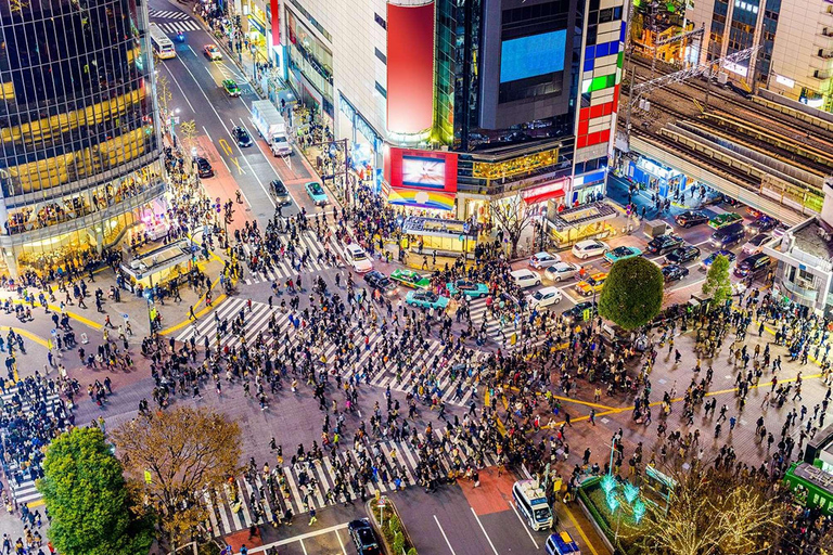 From Tokyo: Tokyo Full Day Private Sightseeing City Tour ITINERARY B:Tokyo Private Customized Tour With English Guide