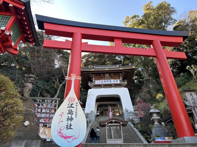 Visit Enoshima Highlights Walking Tour with Local Guide in Kamakura, Japan