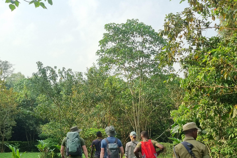 Uganda: 7-dagars gorillasafari och djurliv