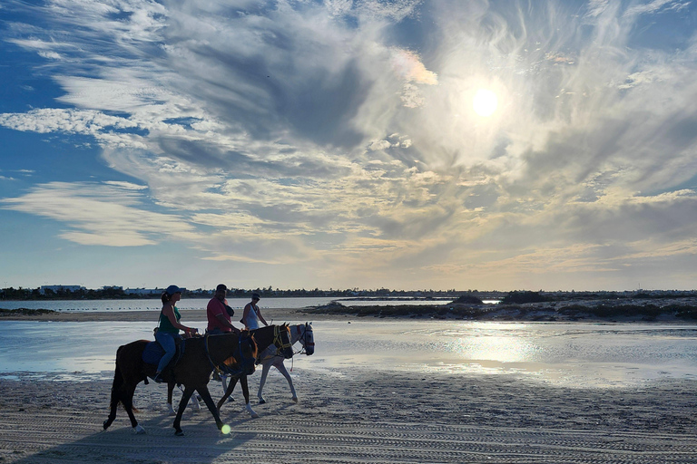 Djerba: Ride to the Pink Flamingo Peninsula by Electric Bike