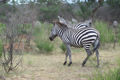 Lake Mburo National Park med Equator, safari och kryssning