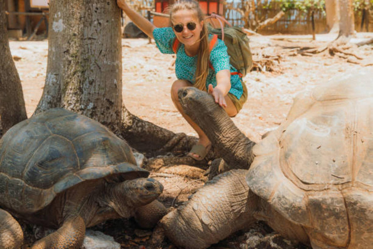 Zanzibar: Jozani forest, Butterfly & Tortoise sanctuary tour Tour with Hotel pickup & drop-off included