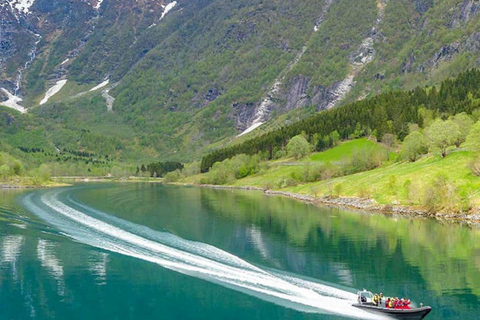 Balestrand: Fjord Sightseeing by Fast Boat