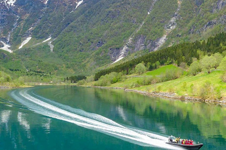 Balestrand: Fjord Sightseeing by Fast Boat