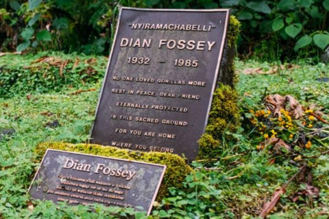Rwanda 2-day Gorilla Trekking & Dian Fossey Tomb Visit
