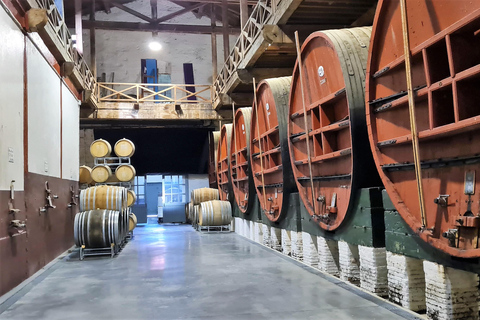 Wine Tour by minibus: Picnic Day and Wines around Perpignan Privatization