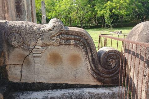 From Colombo/Negombo to Anuradhapura Day Tour with Mihintale