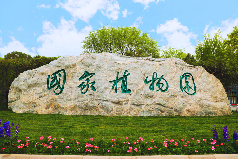 Beijing: Summer Palace Guided Tours & Top Park Combos Private Summer Palace & Old Summer Palace Park Walk Tour