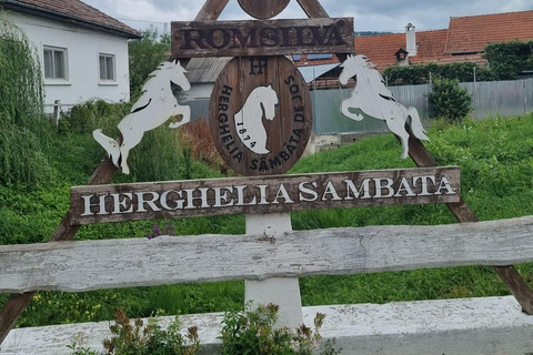 Myths, Horses & Monks – A Transylvanian Storytelling Journey