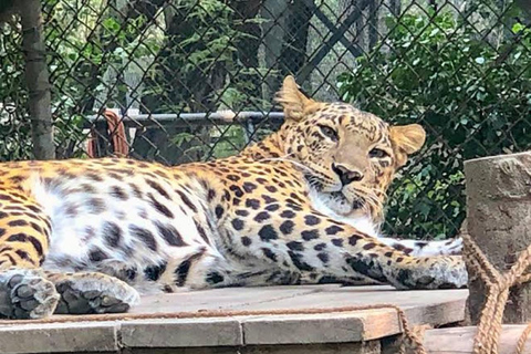 泰姬陵与阿格拉堡之旅（含标志性摄影环节）探索泰姬陵（仅限导览）