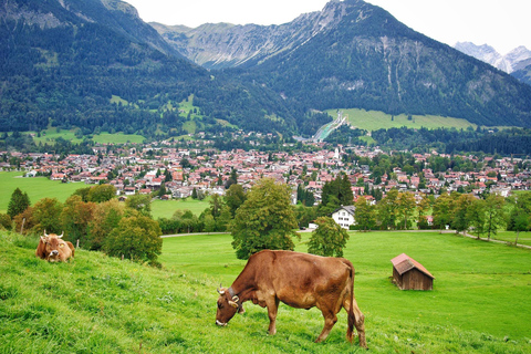 Munich: Premium Neuschwanstein Small-Group Tour by Train
