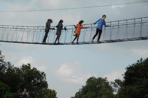 Nairobi: Caminhada pela Floresta Ngare Ndare e Canopy WalkNairobi: Caminhada pela Floresta Ngare Ndare e Passeio pela Copas das Árvores