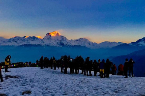 Kathmandu: trekking di 6 giorni a Ghorepani, Poonhill e GhandrukTour privato del trekking con pasti inclusi.