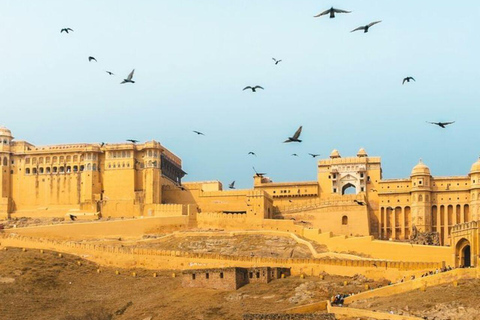 Delhi to Jaipur: Private Full-Day Guided City Highlights Car + Guide + Tickets+ Lunch