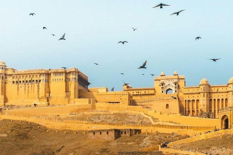 Delhi to Jaipur: Private Full-Day Guided City Highlights Car + Guide + Tickets+ Lunch