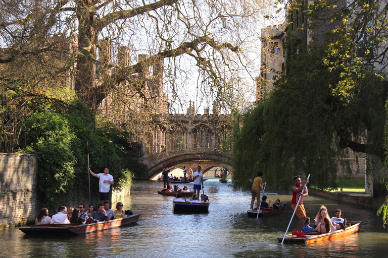 Walking tour of Cambridge, with local guideRundvandring i Cambridge med lokal guide