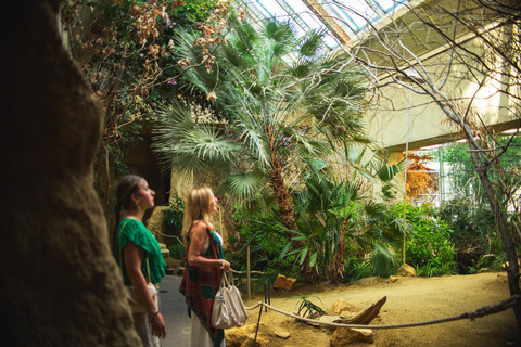 Digital Vienna FLEXI Pass: Choose from 70+ Top Sights Vienna: FLEXI Pass – 2 Attractions