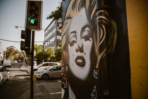 Santiago de Chile: 100% private photo tour, full day